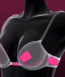 bra1